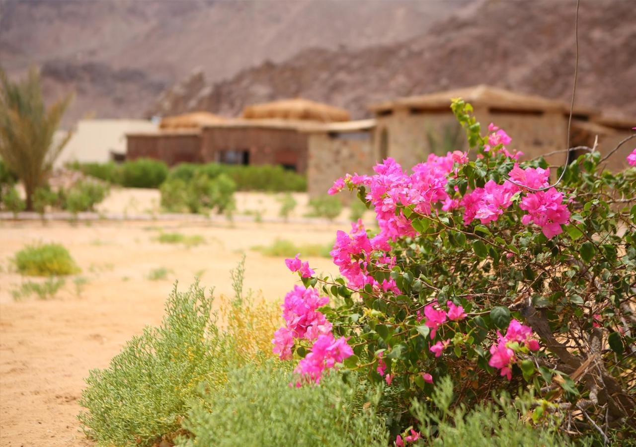 Safari Beach Nuweiba` Exterior foto